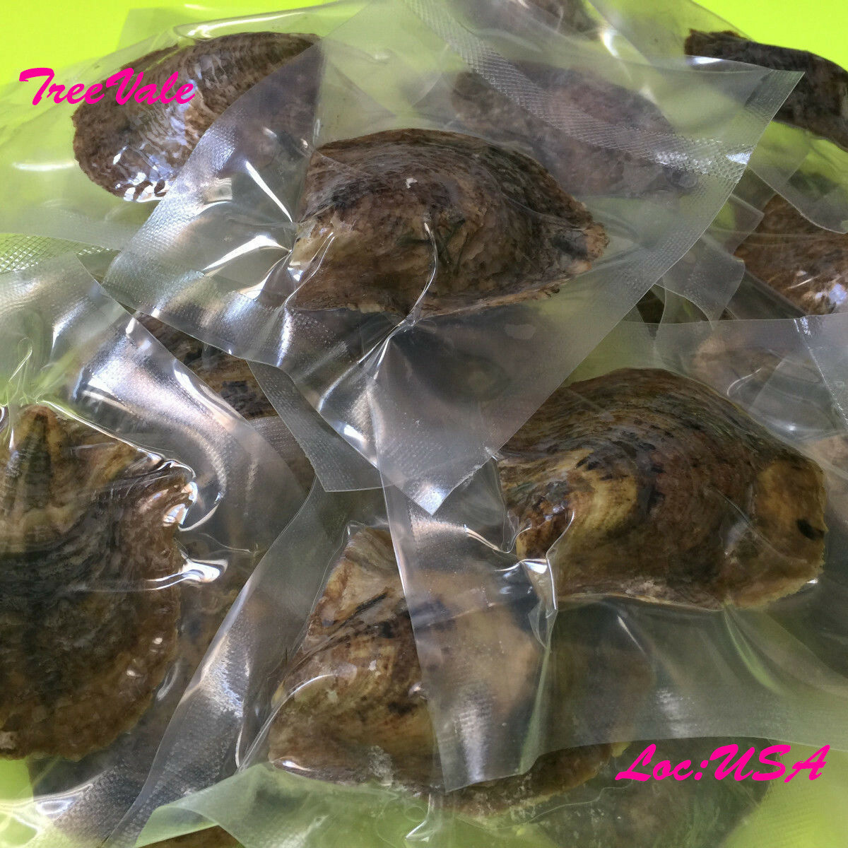 100 Individually Wrapped Akoya Oysters Each With 7-9mm Pearl(s)