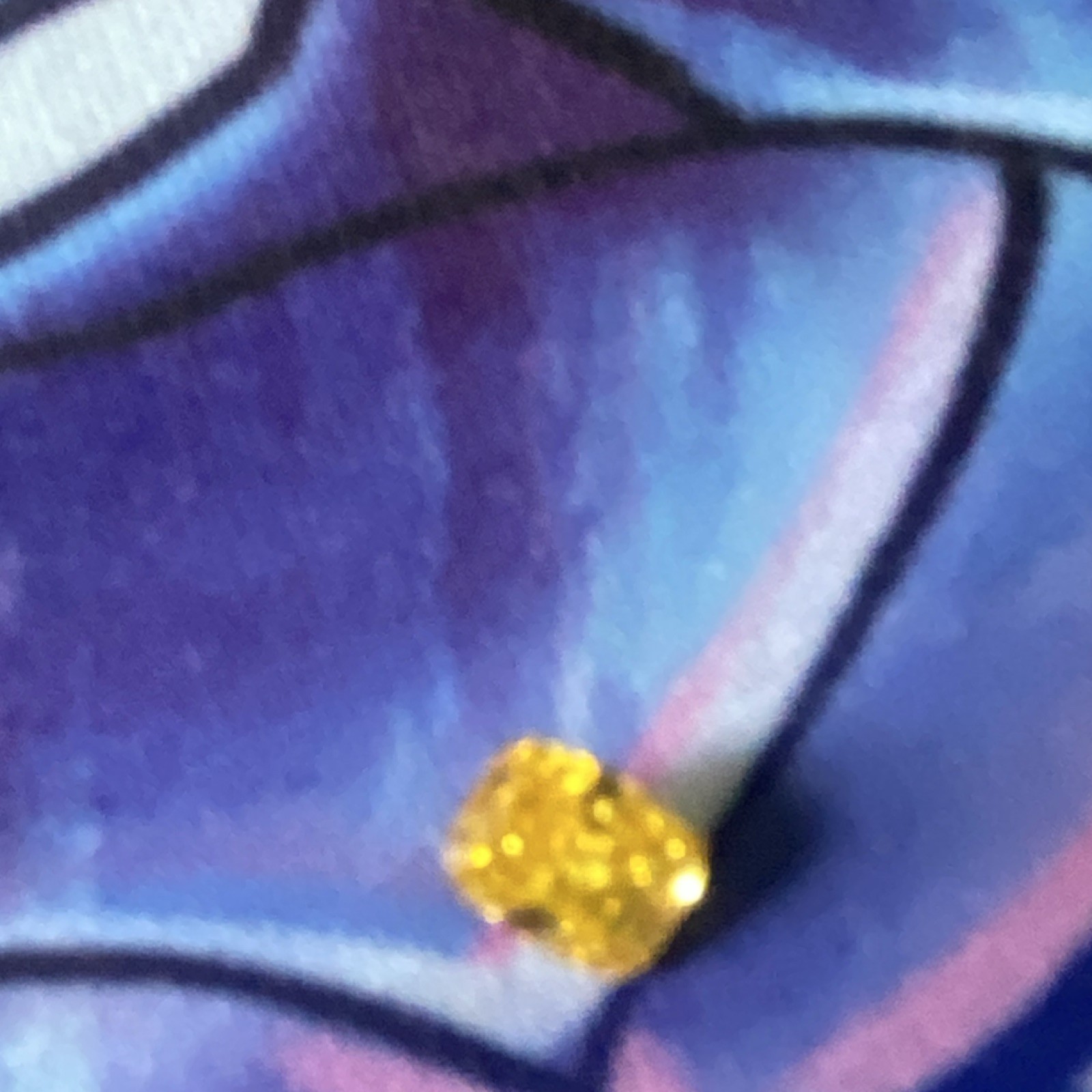 Lab-Created IGI 0.63ct Fancy Vivid Yellow Cushion Diamond SI2 Very Good Cut
