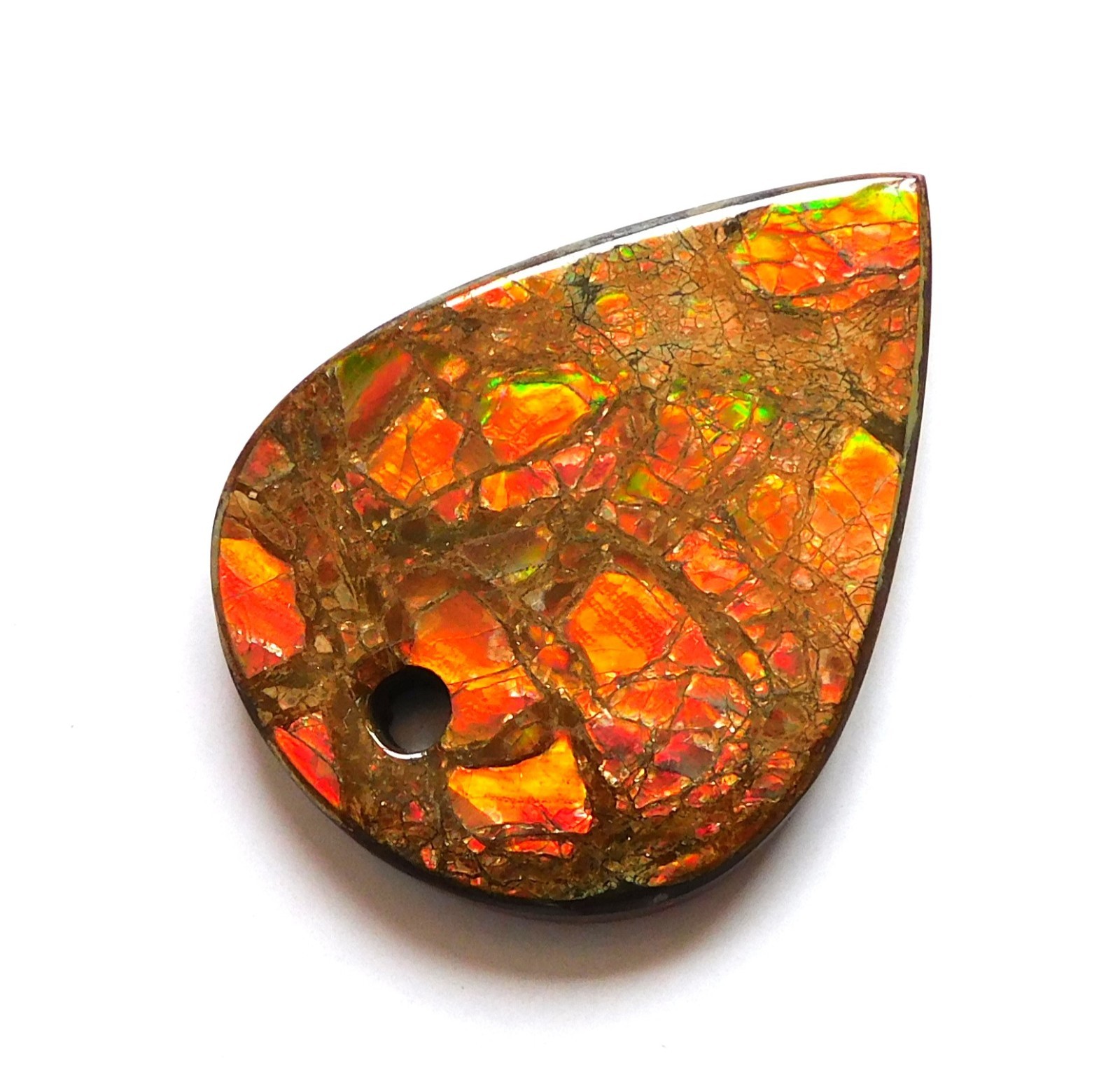 62.85 Ct Natural Canadian Ammolite Donut Gemstone 41.4X30.9X5MM KB50