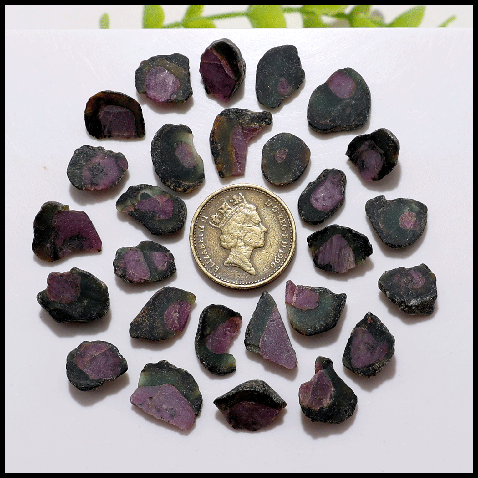 27 PC Natural Watermelon Ruby Untreated 11.5mm-17.4mm Rough Loose Gemstones Lot