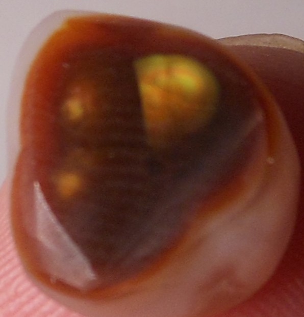 7.50ct Mexican Fire Agate 13.1mm x 11.6mm x 5.6mm