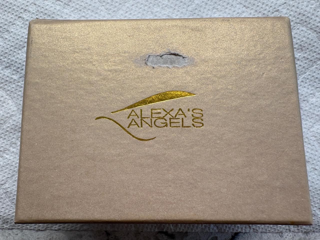 NEW Alexa’s Angels Silvertone Bracelet With Cylinder Hinged Box 8.5 in.