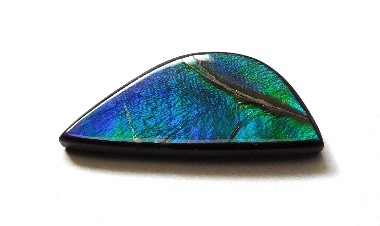 9.05 Ct Natural Canadian Ammolite Cabochon Loose Gemstone 26.8X11X3.4MM LB14