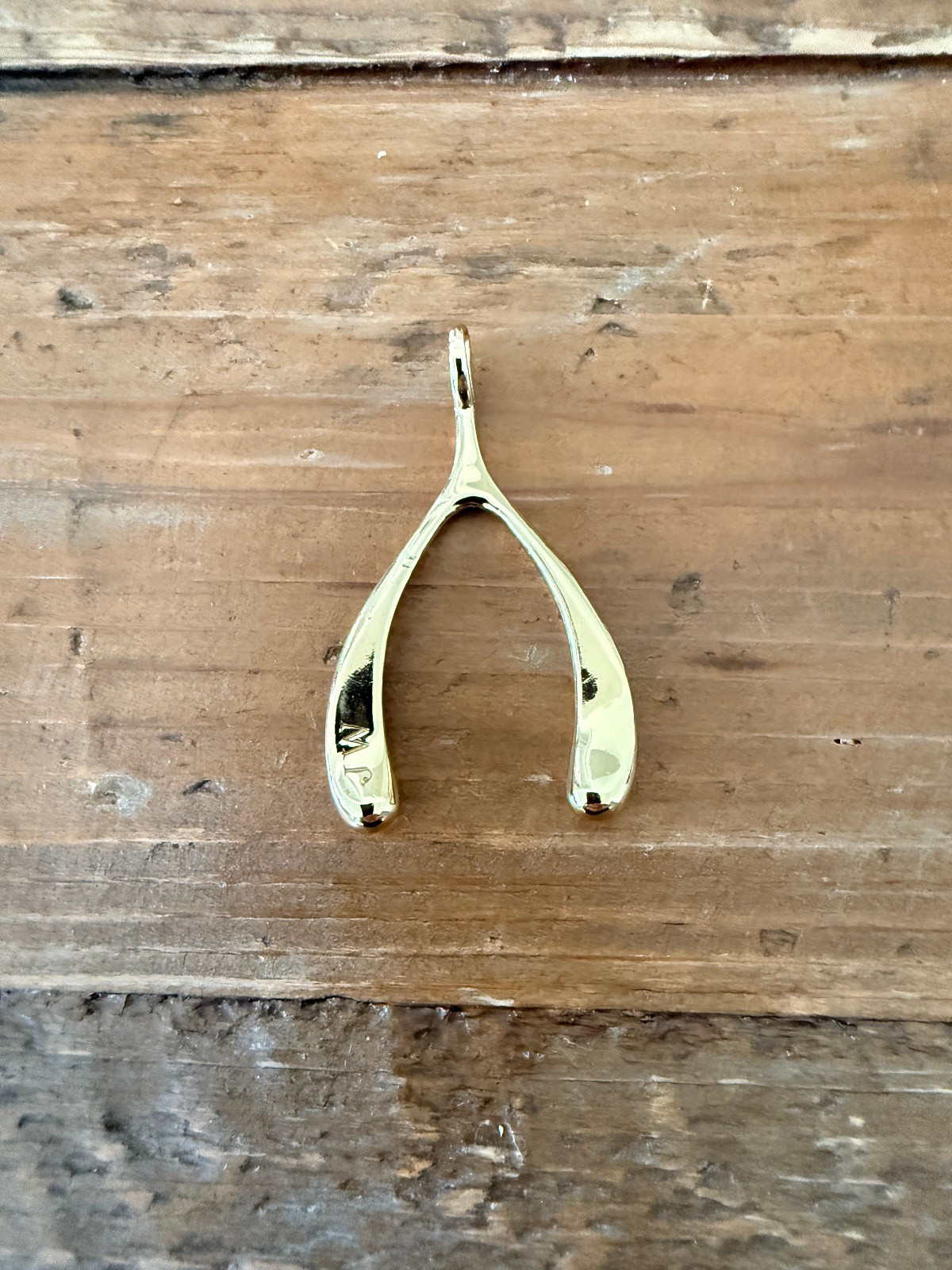 Jane Win Gold Tone LUCKY JW Large Wishbone Pendant Necklace NO CHAIN