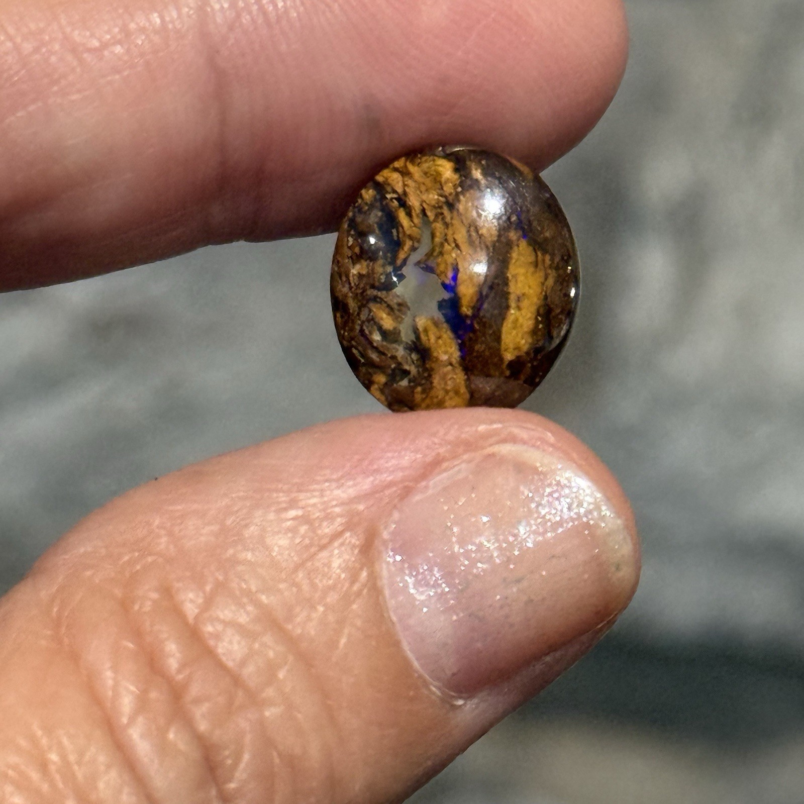 6.65ct 14.3×12.6×5.2mm Fine Australian Koroit Boulder Opal Oval Cabochon Gem