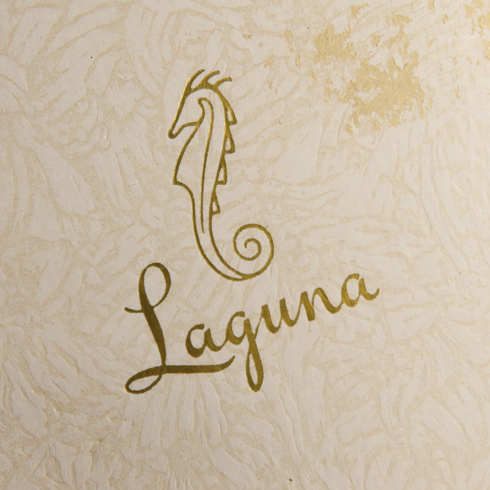 VTG Laguna Jewelry IVORY CELLULOID BOX Presentation Necklace Gift BRAUN-CRYSTAL