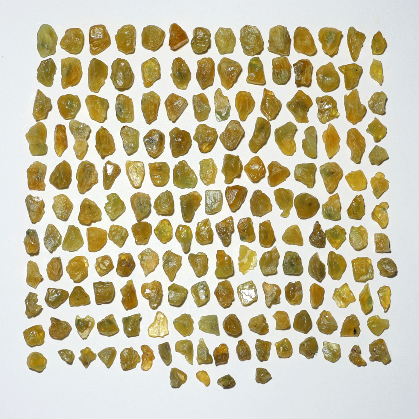 African Gold~ 173 PC Nigerian Yellow Sapphire Untreated 5mm-12mm Rough Gemstones