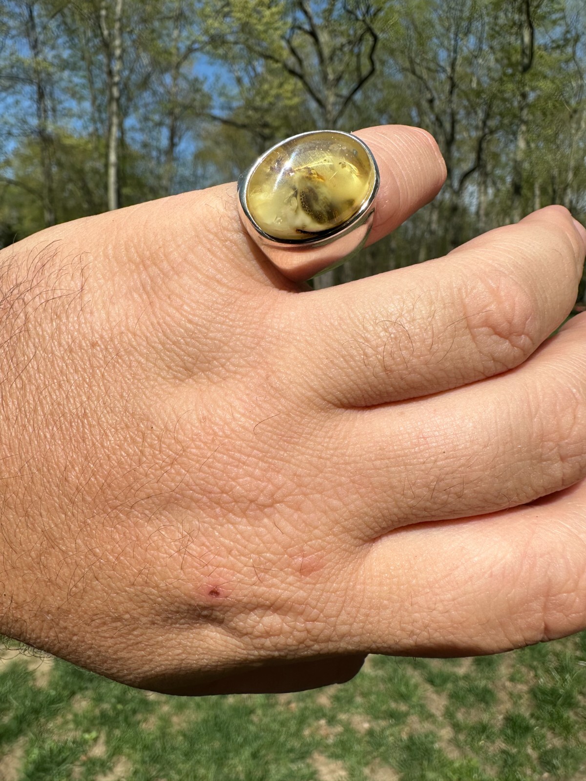 Large Genuine Baltic Amber Stone Mens Real Solid 925 Sterling Silver Signet Ring