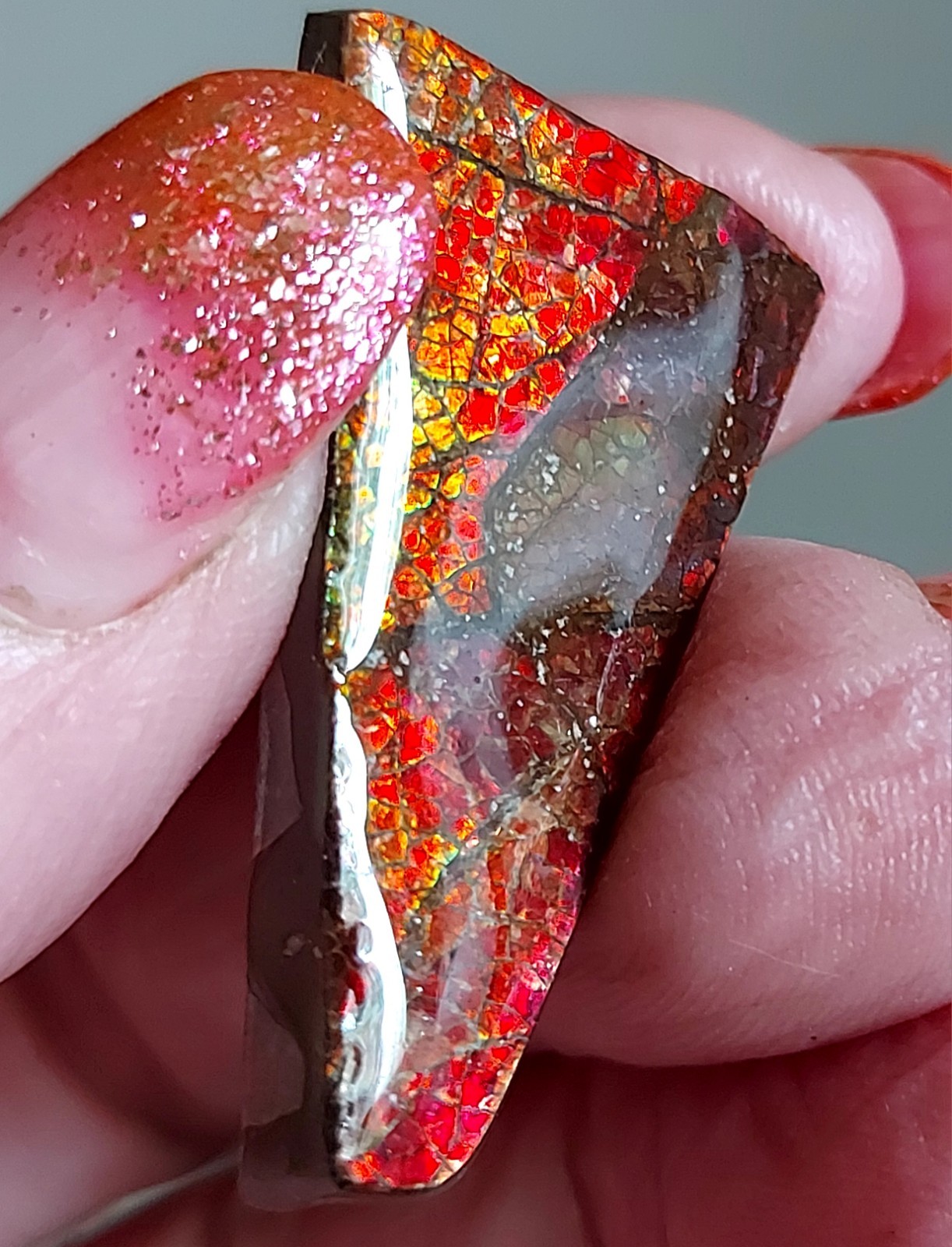 Ammolite Ammonite Coated Stone Color Changer 35.4×19.5×4.2mm 5340
