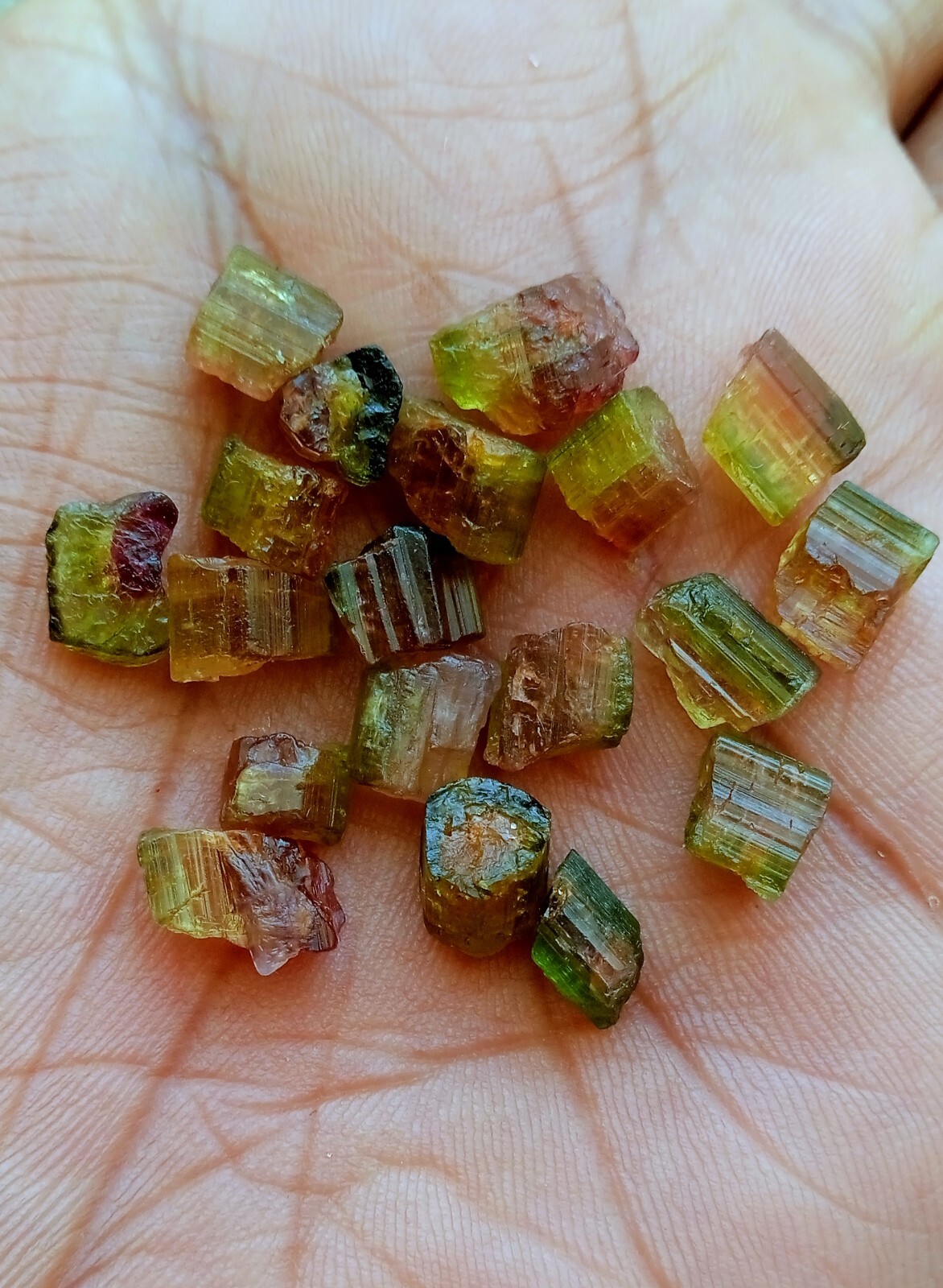 39 Carat Natural Watermelon Bi-Unique Amazing Color Tourmaline Rough 19 Pcs Lot