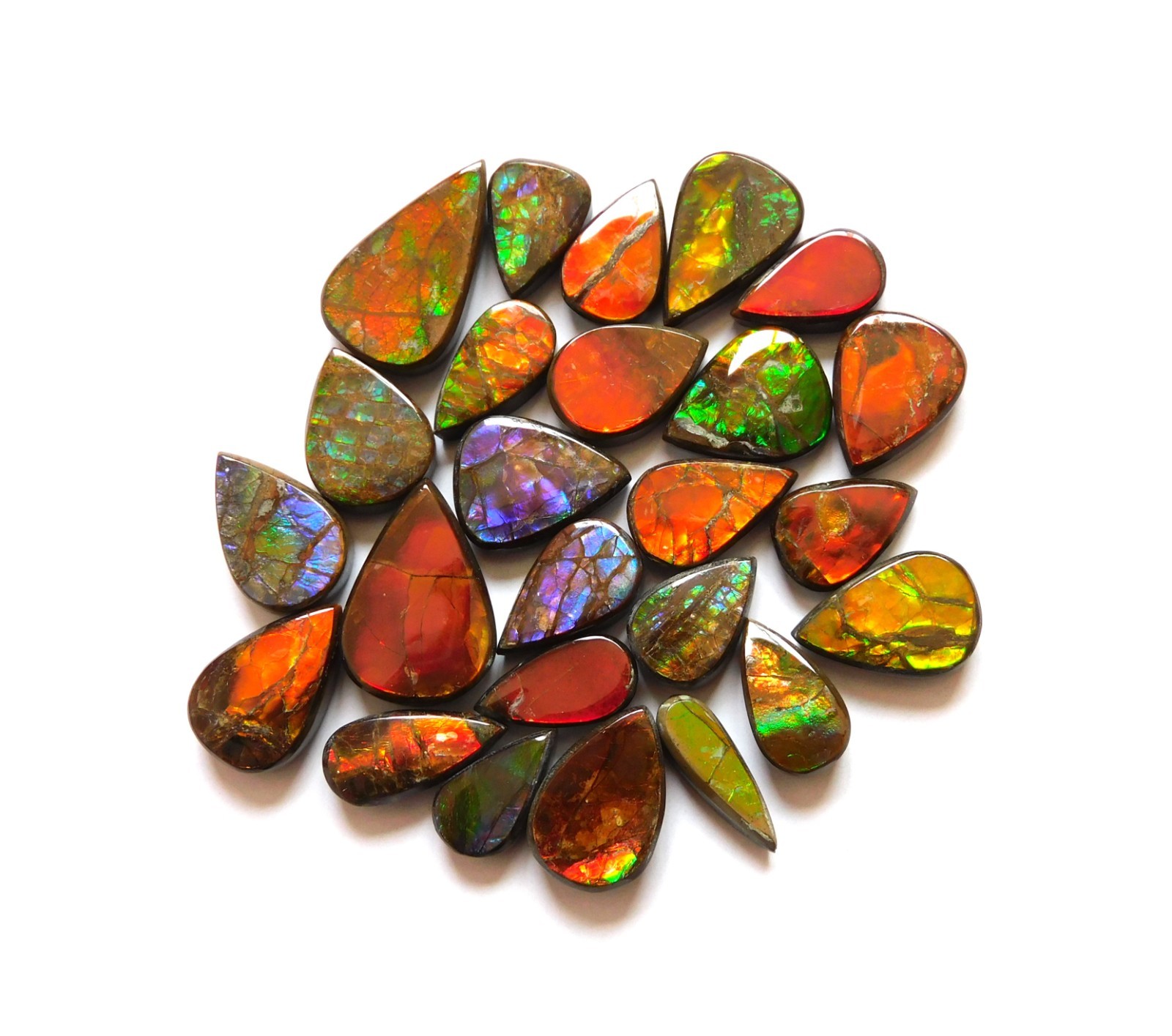 113.65 Cts Natural Ammolite 25 Pcs Lot Loose Cabochon Gemstone CN04