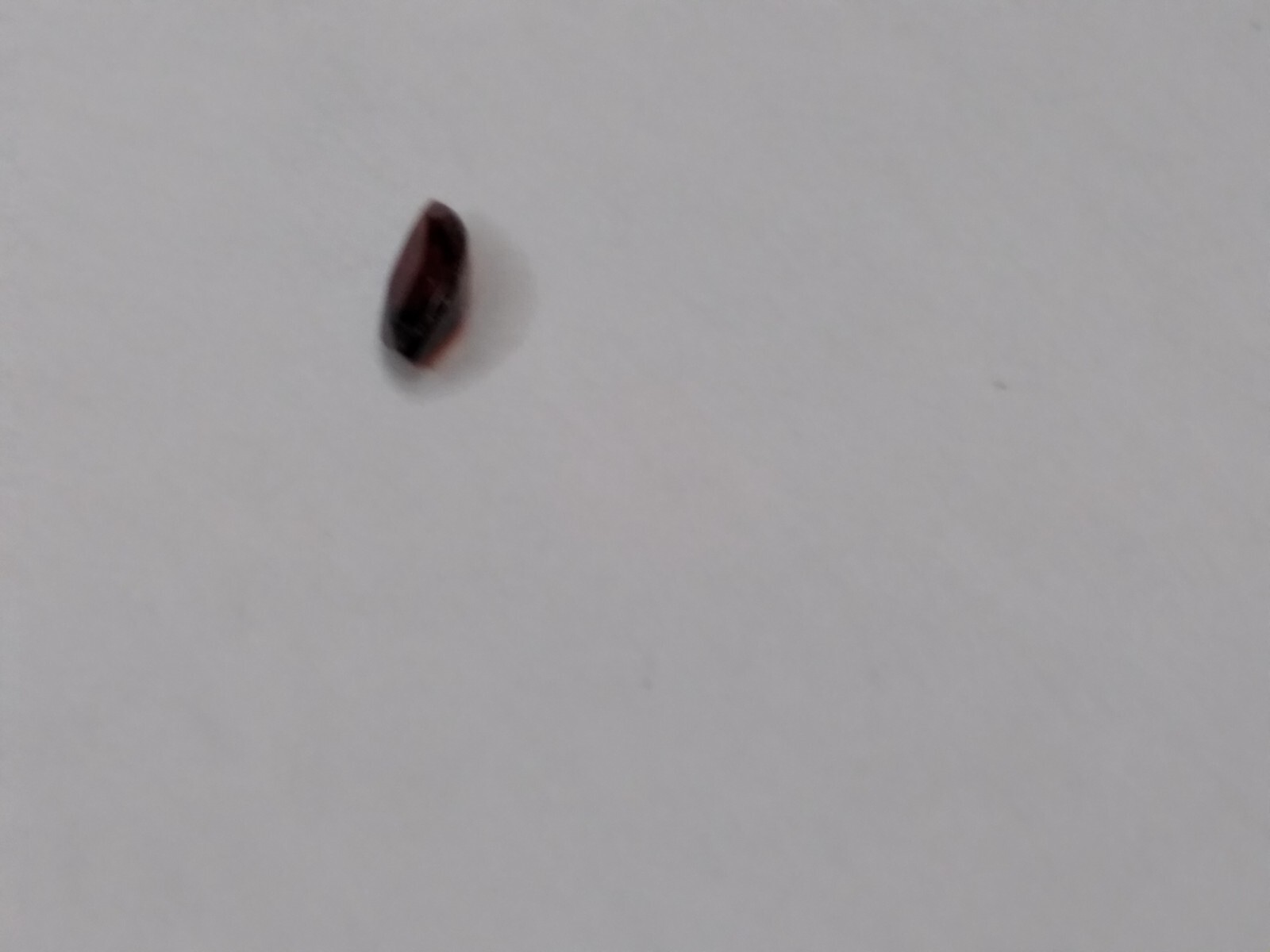 Natural Genuine Garnet Stone! 4x2mm Marquis Navette Shape cut AAA Grade.093 Ct.