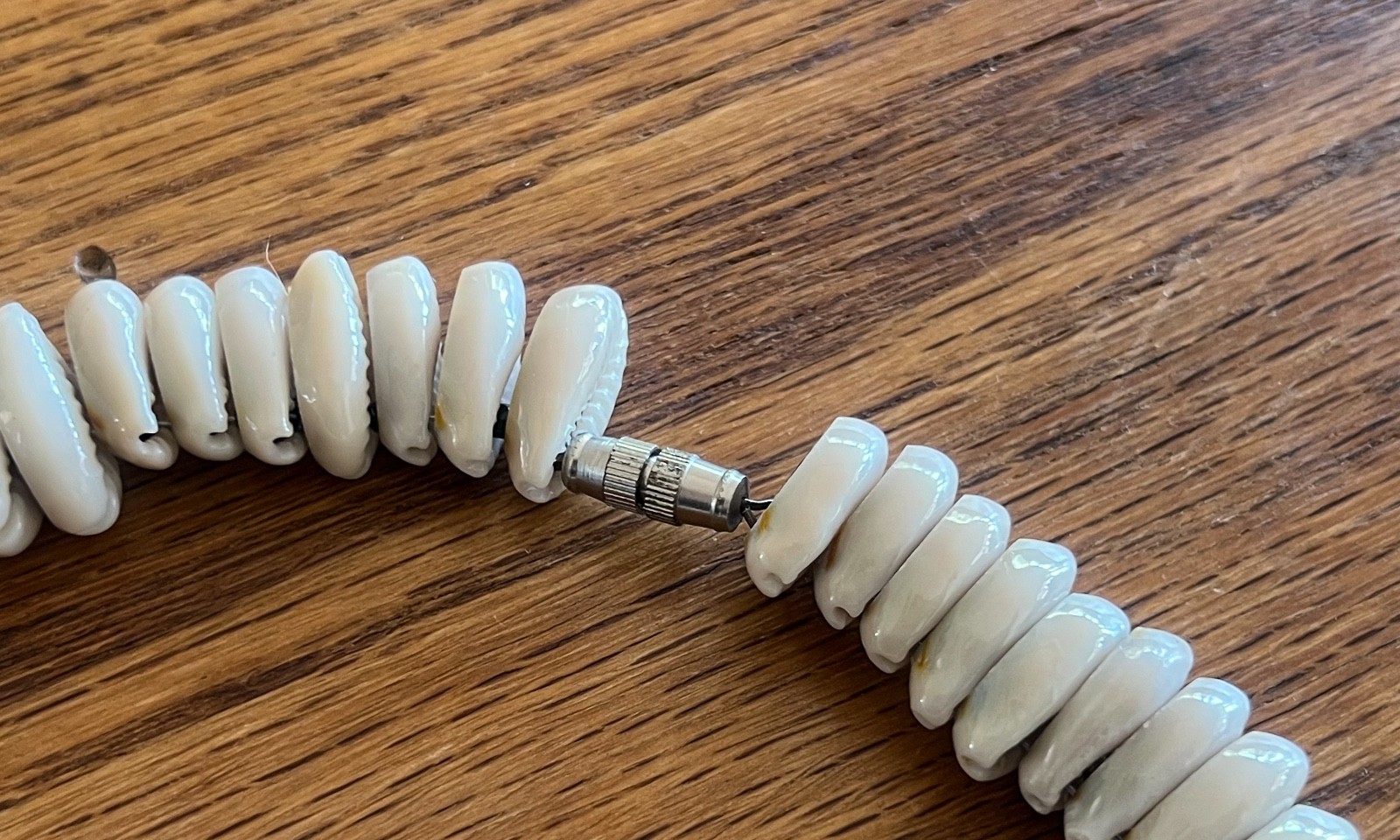 Vintage Shell Necklace 1970s Sliced Cowrie Shell Choker Collar