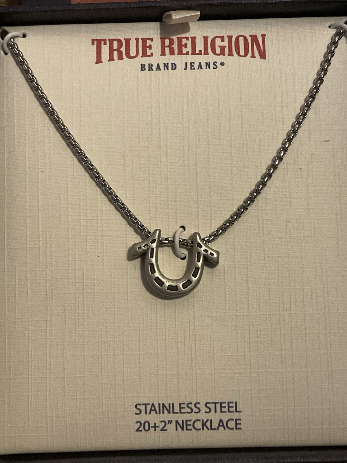 True Religion Horseshoe Pendant 22 Inch Long Rolo Chain Necklace for Men