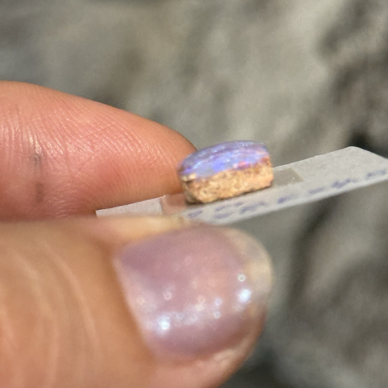 3.2ct 10.7×8.6×4.5mm Australian Boulder Purple Crystal Pipe Opal Cabochon Gem