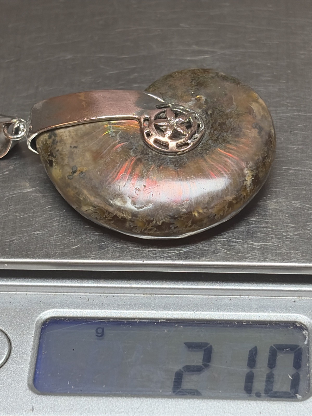 2” Fossil Rainbow Ammonite Pendant Set In Copper
