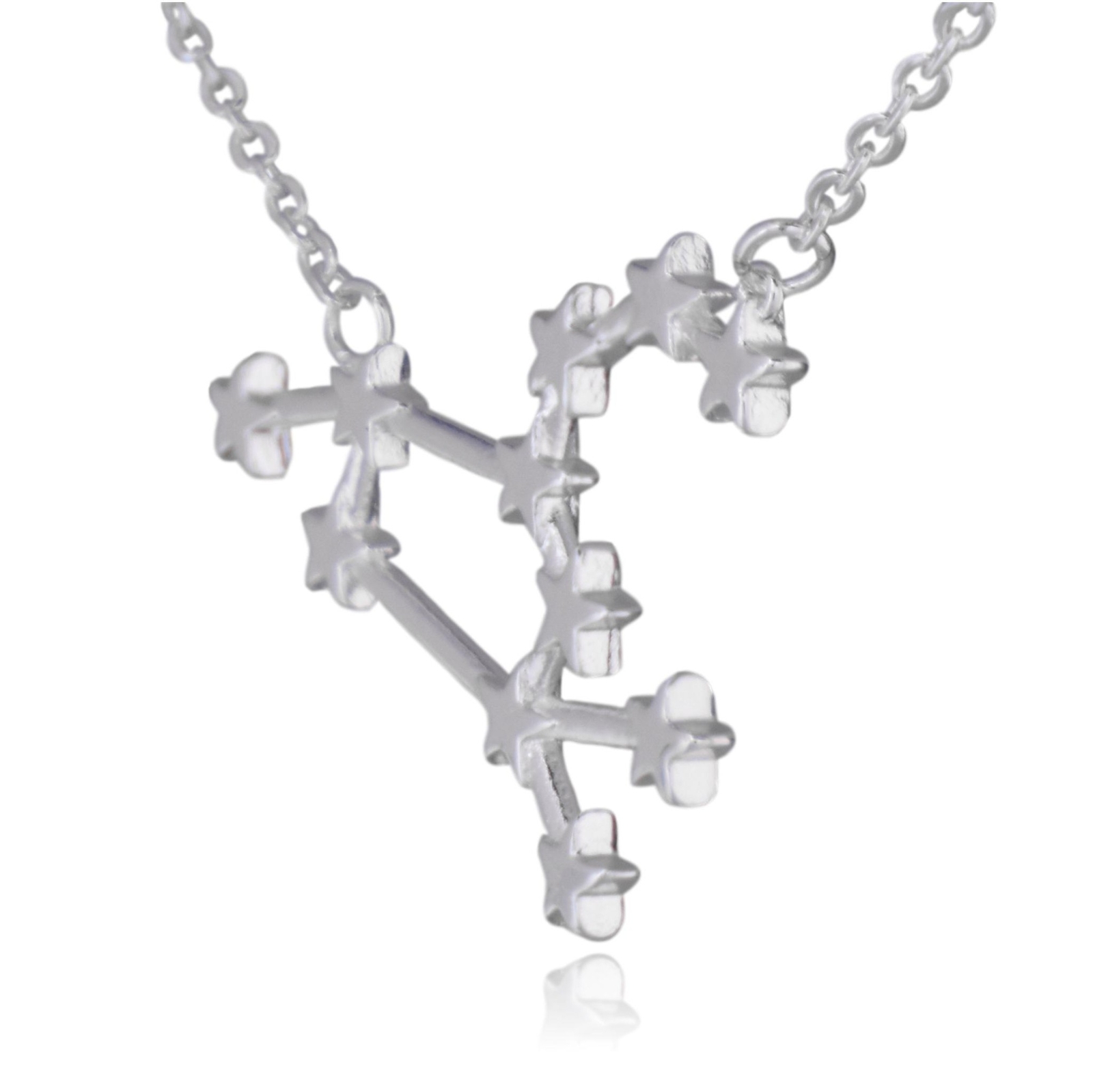 Leo Zodiac Constellation Sign Stainless Steel Pendant Necklace
