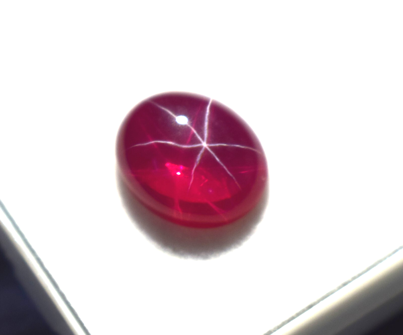 Certified Oval Cabochon 5.75 Ct Natural 6 Rays Red Star Ruby Loose Gemstone