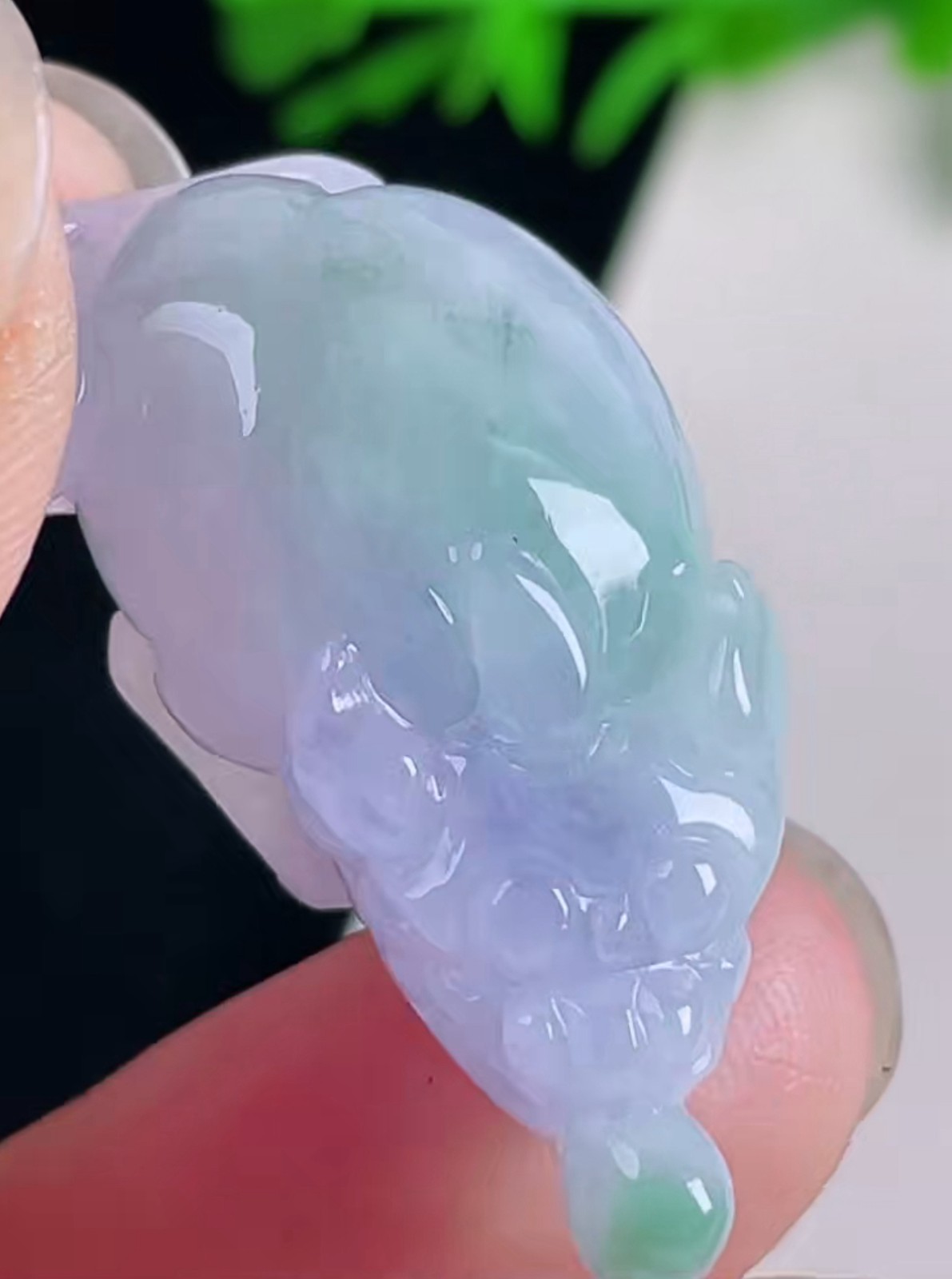 Certified Icy Purple Green Jadeite Jade Pendant JinChan 金蟾 Certified Grade A 705