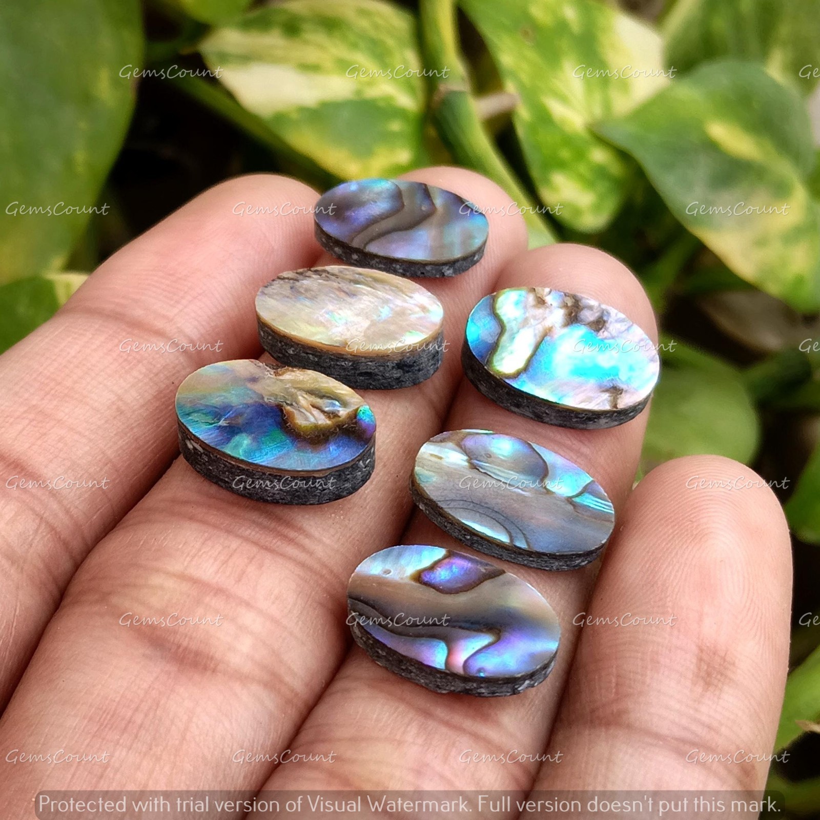 Natural Abalone Shell Flat Back Oval Cabochon Loose Gemstone 5x7mm-15x20mm