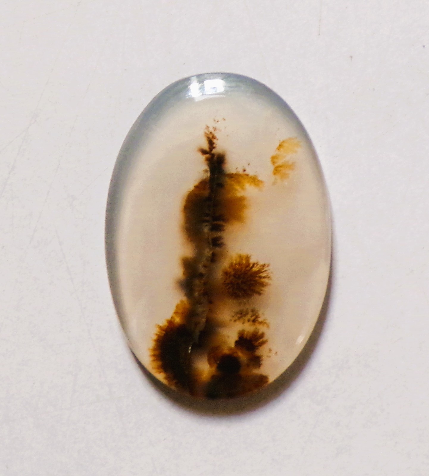 13.45 Cts Natural Shazar Dendritic Agate Cabochon Loose Gemstone 27X18X3.1MM 78