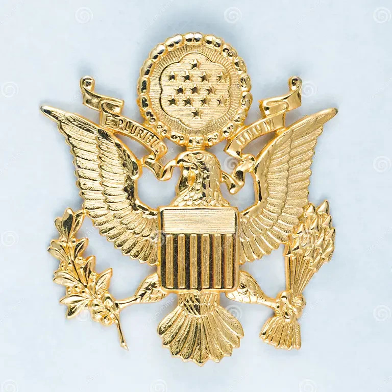 AMERICAN EAGLE Necklace – 2″ Coat of Arms Eagle – 24″ Gold Stainless Chain