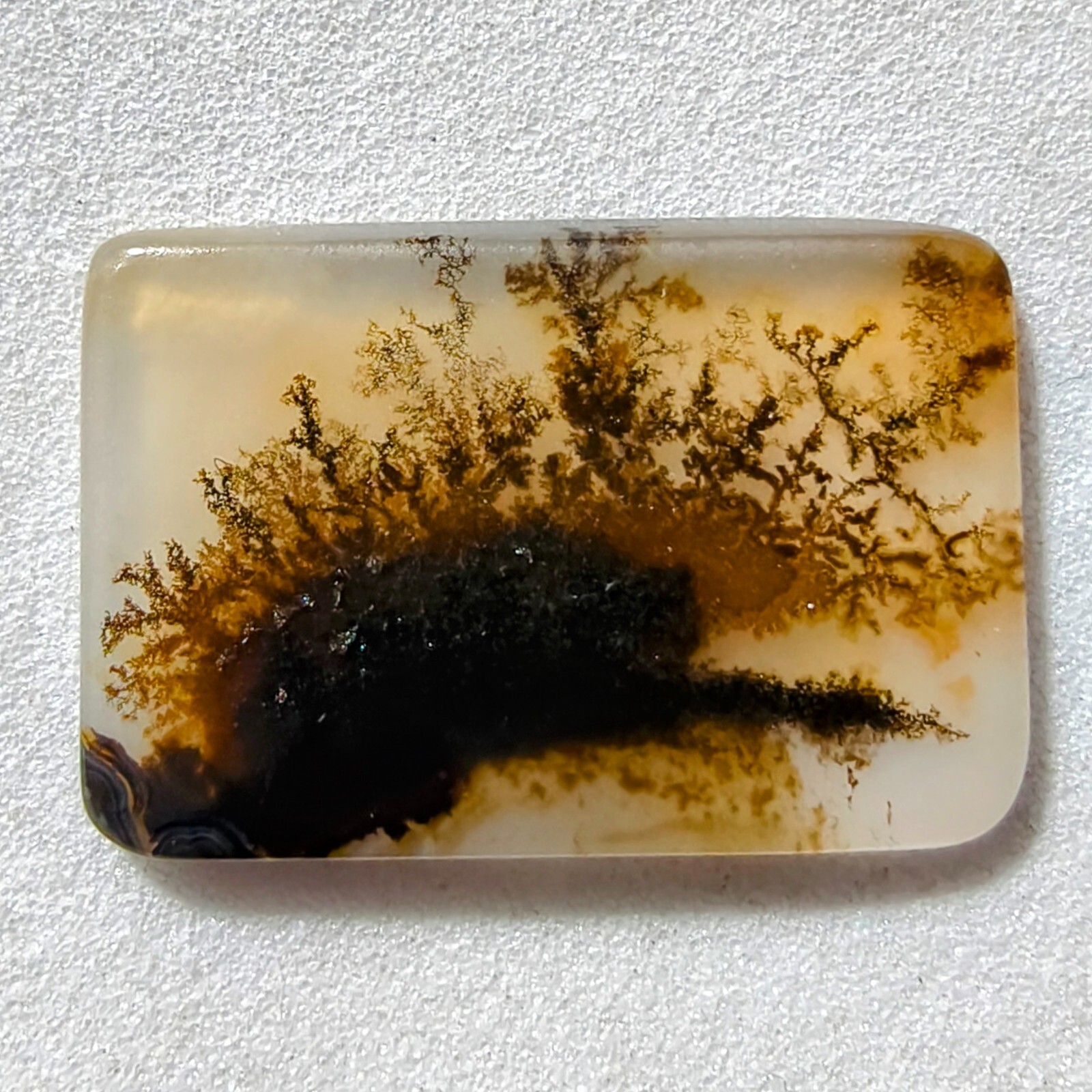 6.40 Cts Natural Shazar Dendritic Agate Cabochon Gemstone 20.7×13.9×1.8 MM 240