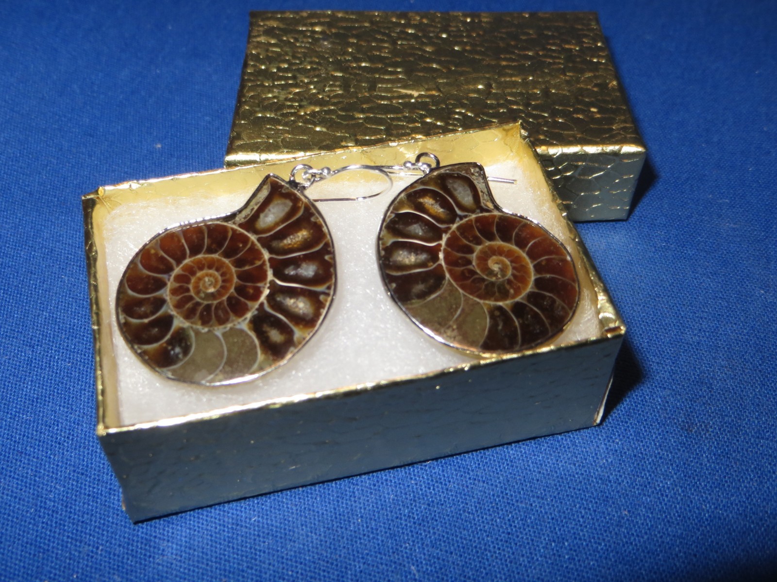 NEW! Natural Cut Polished Madagascar Fossil Ammonite Earrings Sterling Silver