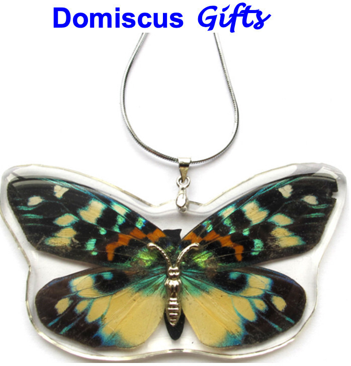 2 1/2″ NEW! Real INSECT Yellow RED Black BUTTERFLY NECKLACE Jewelry PENDANT