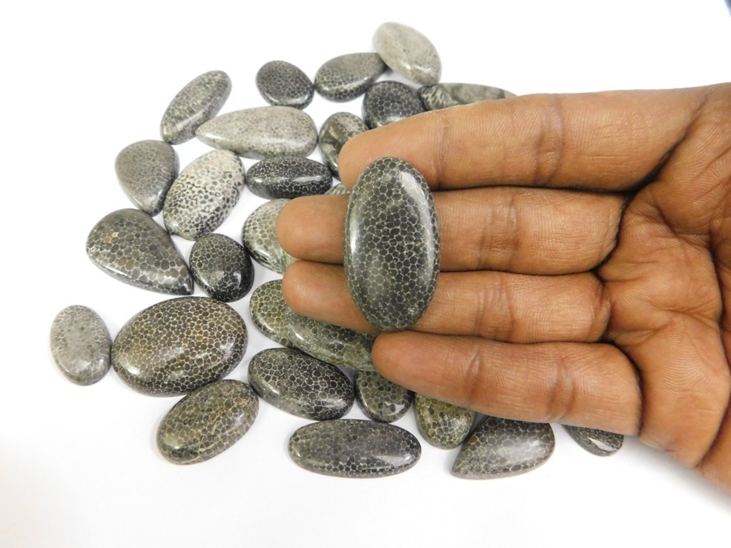 Natural Black Fossil Gemstone Cabochon, Best For Unique Jewelry Creation 71302