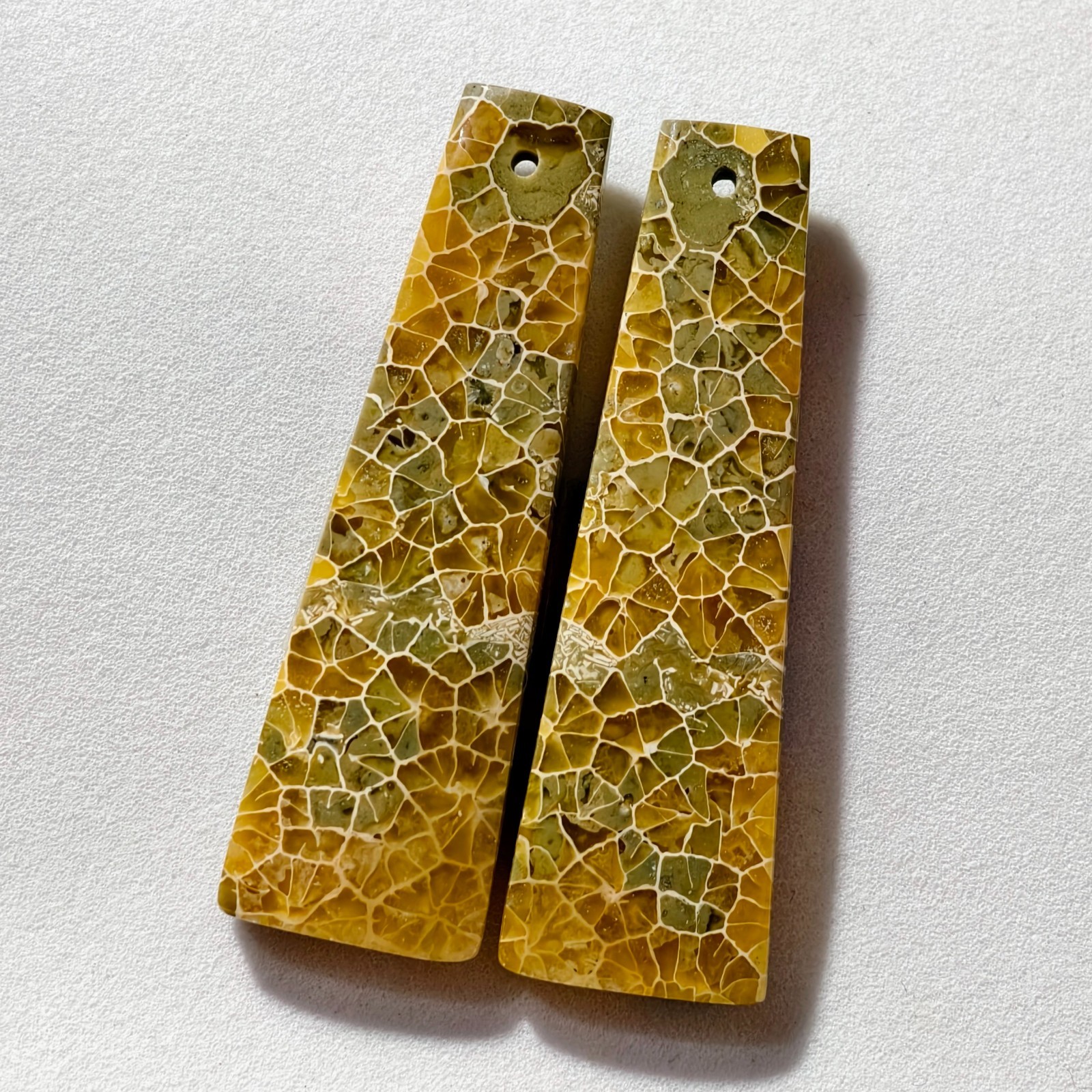 61 Cts Natural Fossilized Coral Drilled Pair Cabochon Gemstone 45.4×13.9 MM