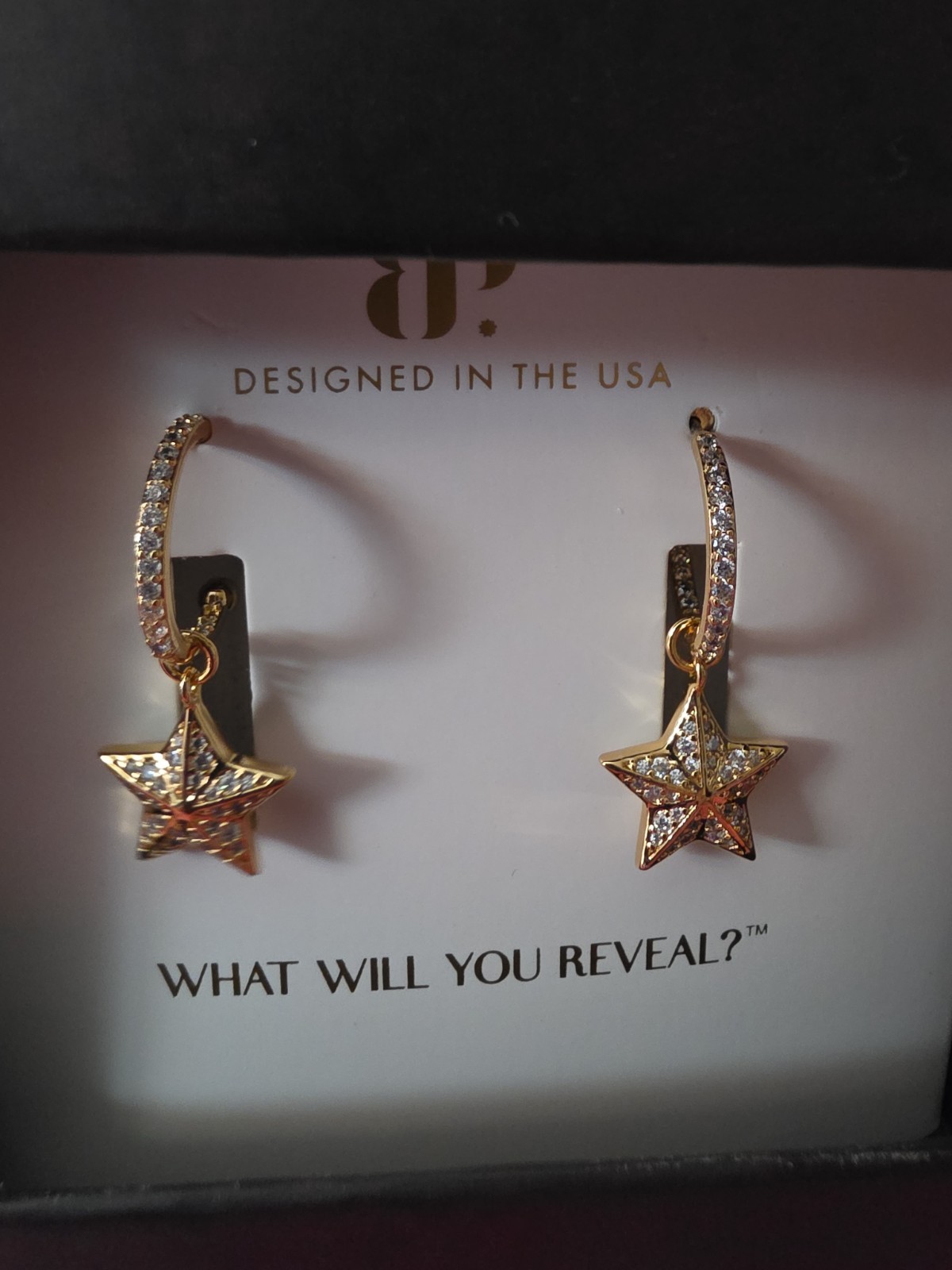 Ring Bomb Party Outlaw 2026 Earrings ER75390 “Gold Spur Society” …