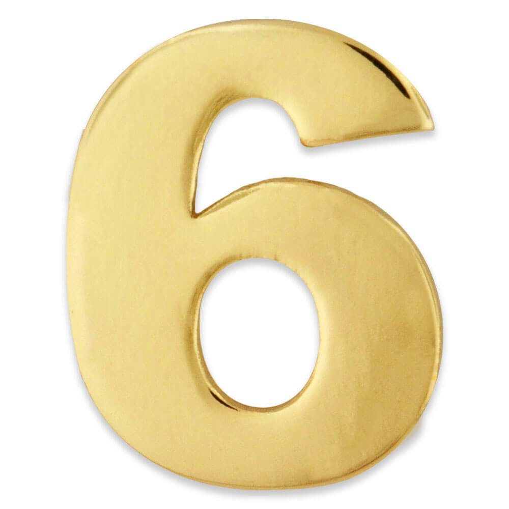 PinMarts Number Six 6 Lapel Pin Anniversary Birthday Number Jewelry