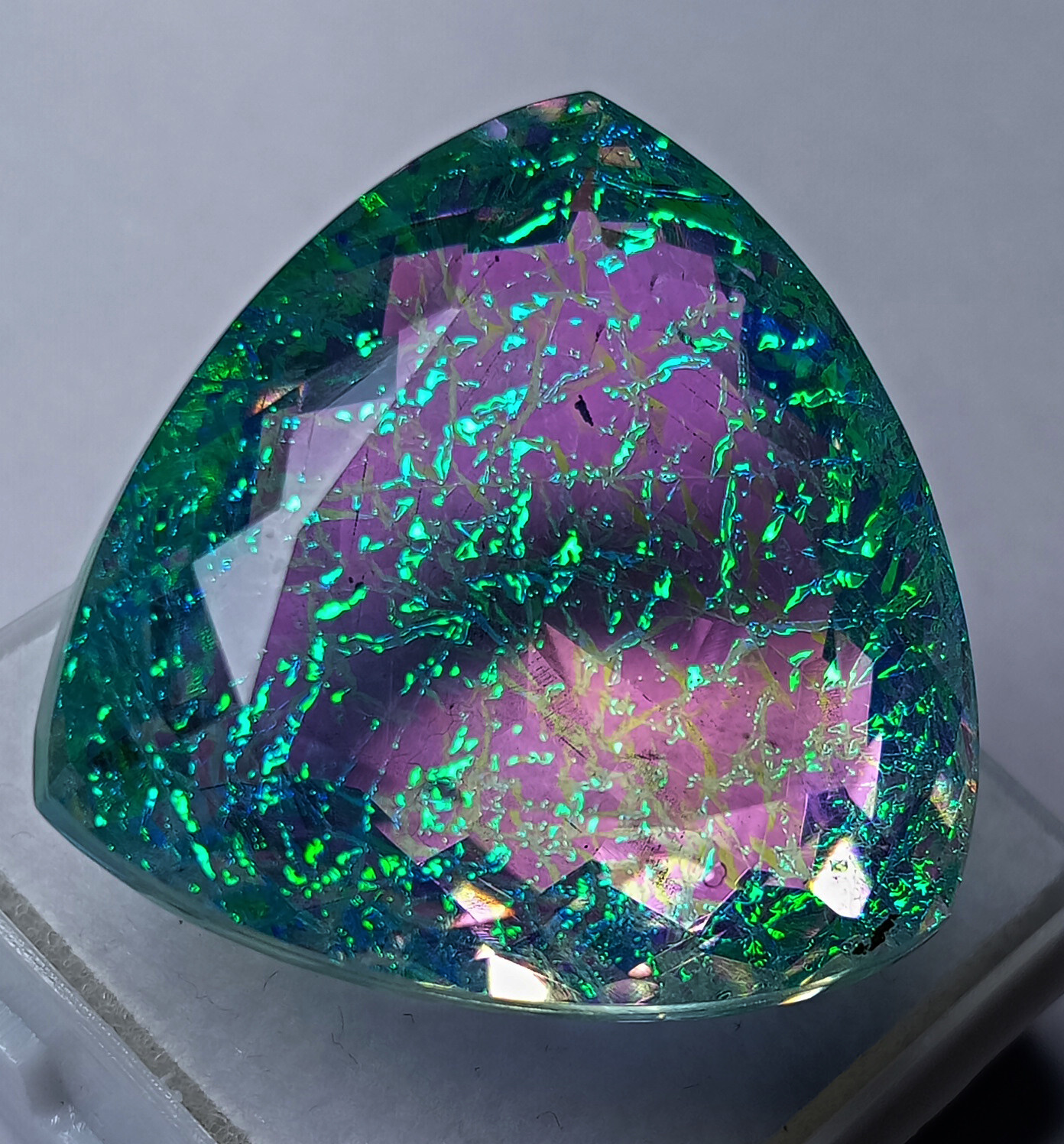 Natural Monarch Fire Opal Doublet Trillion Certified 58.55 Ct Loose Gemstone