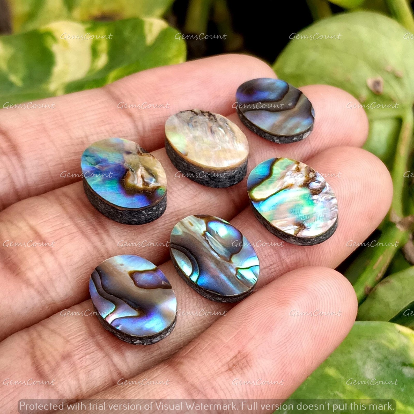 Natural Abalone Shell Flat Back Oval Cabochon Loose Gemstone 5x7mm-15x20mm