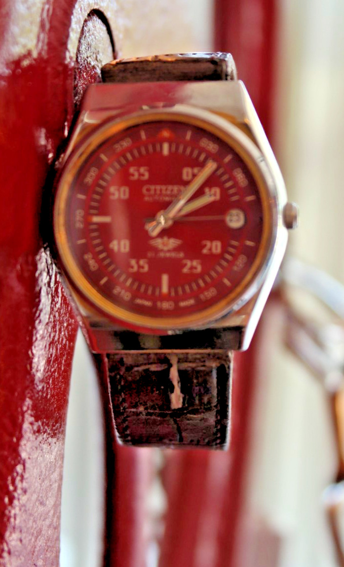 Colorful Citizens New Master Mens Wristwatch – – Automatic 21J, Compass Indices