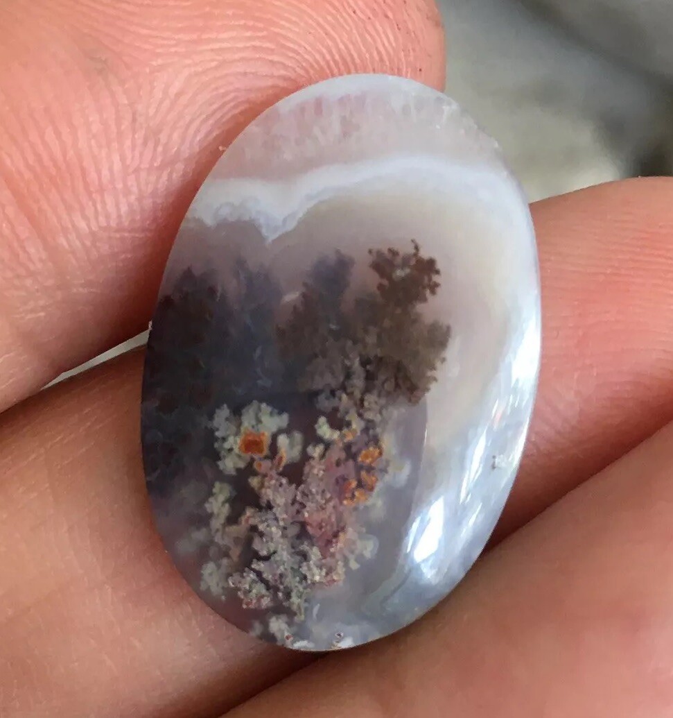 23.3×15.7x5mm Fine Silver Garden Moss Agate Oval Cabochon Loose Picture Stone
