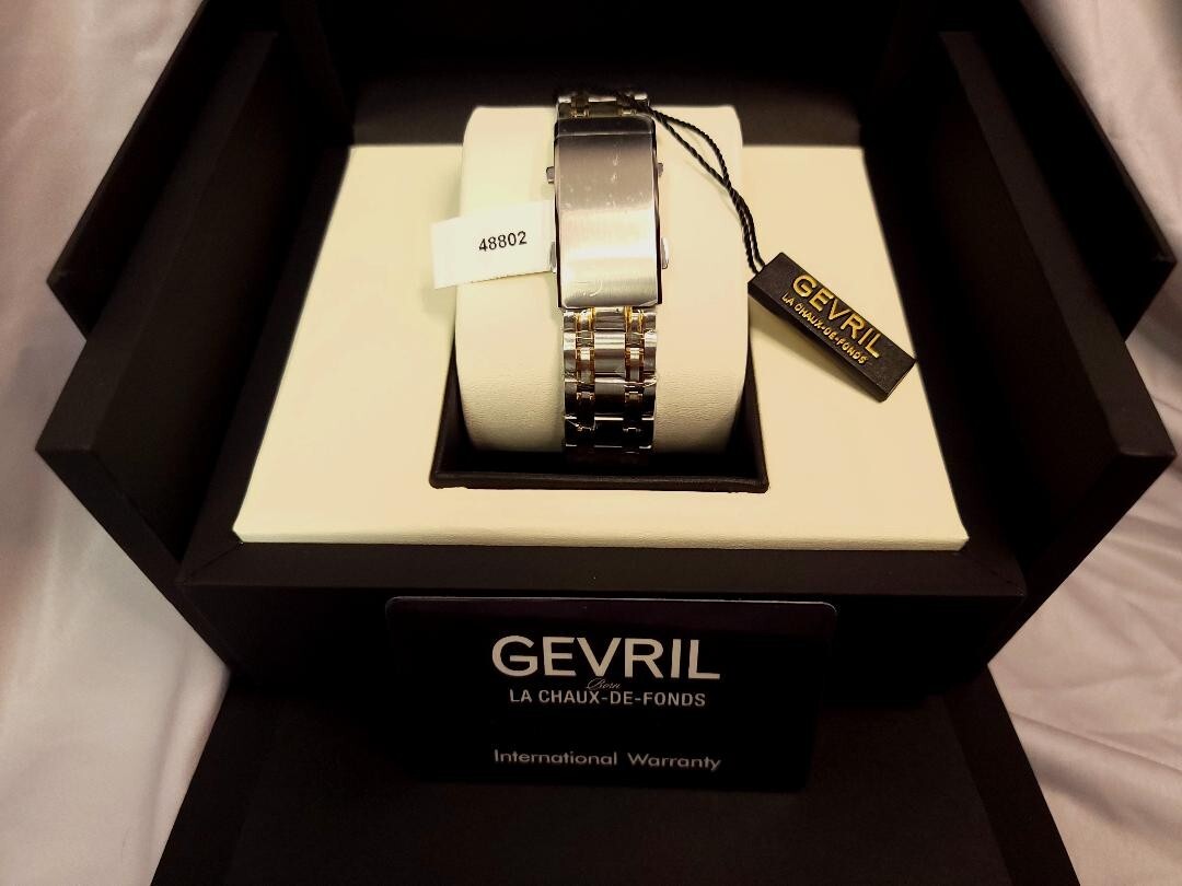 Gevril Hudson Yards – Diver