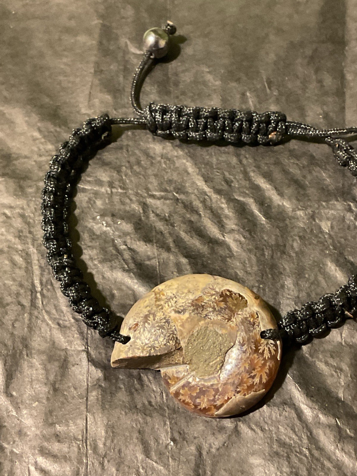 Ammonite Fossil Cord Bracelet