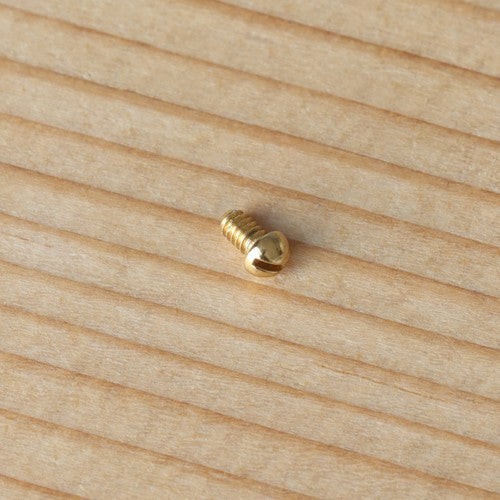 Watch Bezel Screw for Breitling Chronomat B13050/E13360 39mm Watch
