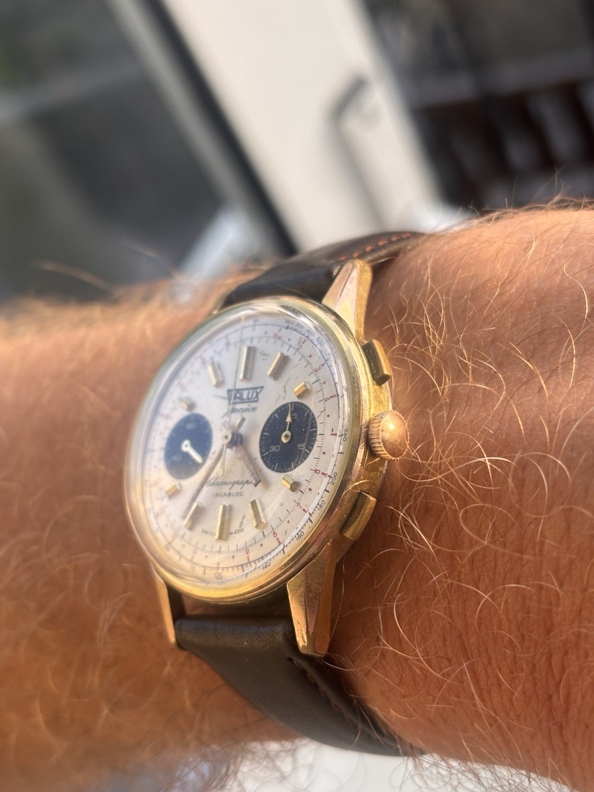 Fully Serviced! 1960s Vintage Valjoux 7733 Chronograph, Walux Geneve, Panda