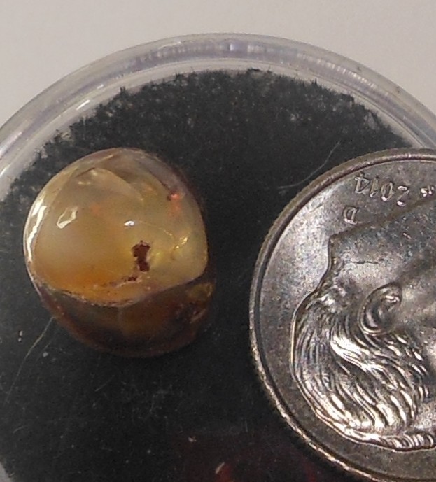 4.90ct Mexican Fire Opal