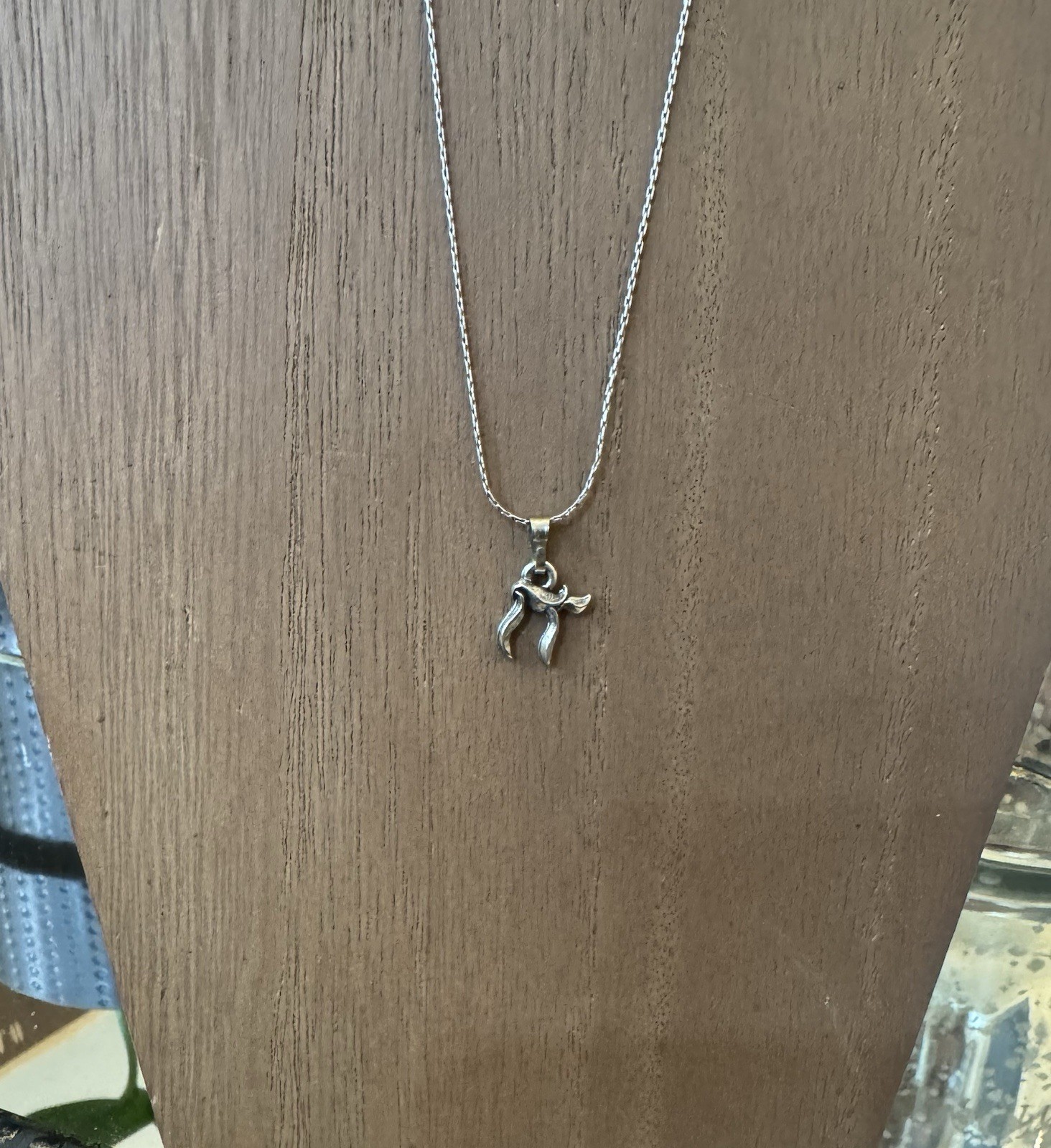 Retired Alex and Ani Silver Charm Station Slider Necklace – Chai Symbol