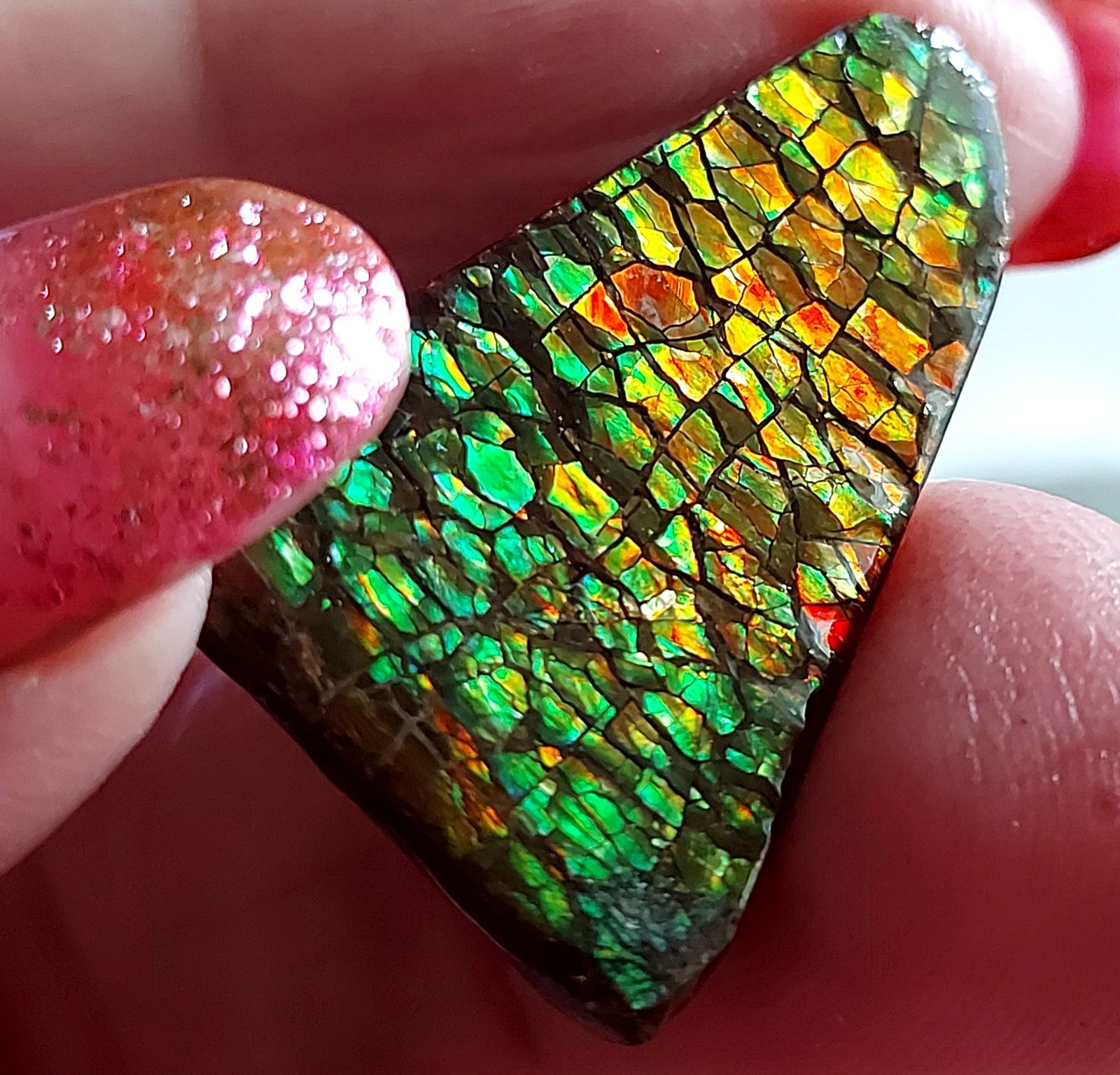 Ammolite Ammonite Coated Stone 30.7x20x4.3mm 5712