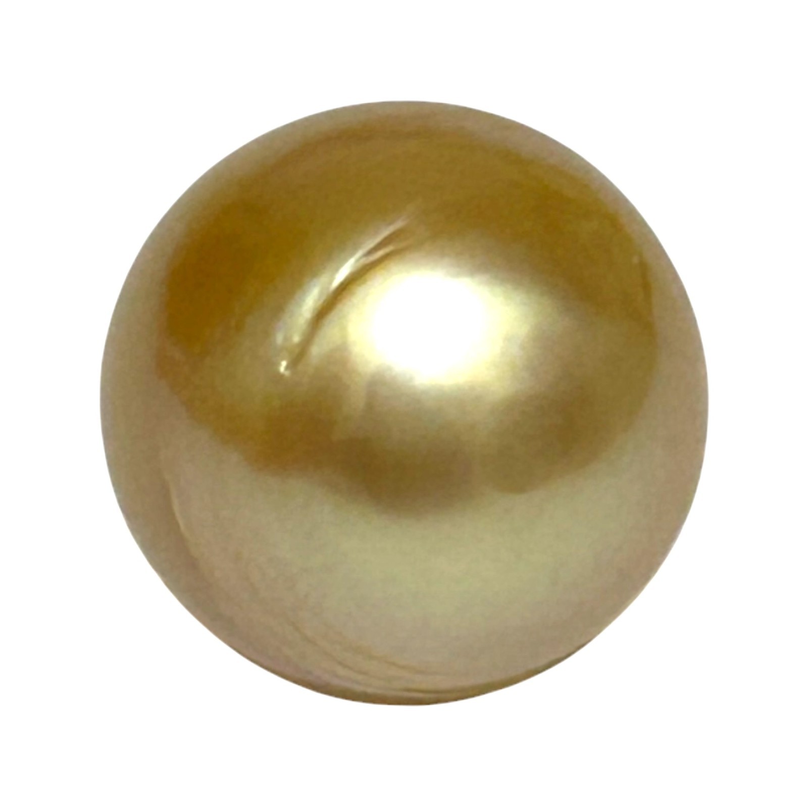 Giant 15.2 x 16.6mm 26.7 Carats Natural Golden Philippines South Sea Pearl Loose