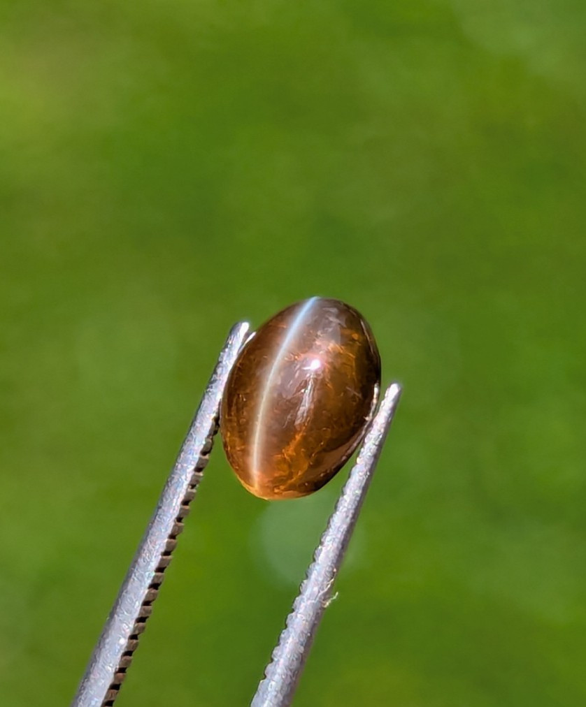 Natural Chrysoberyl Cat’s Eye 1.35ct Honey | Sharp Eye | Glass Body Ceylon