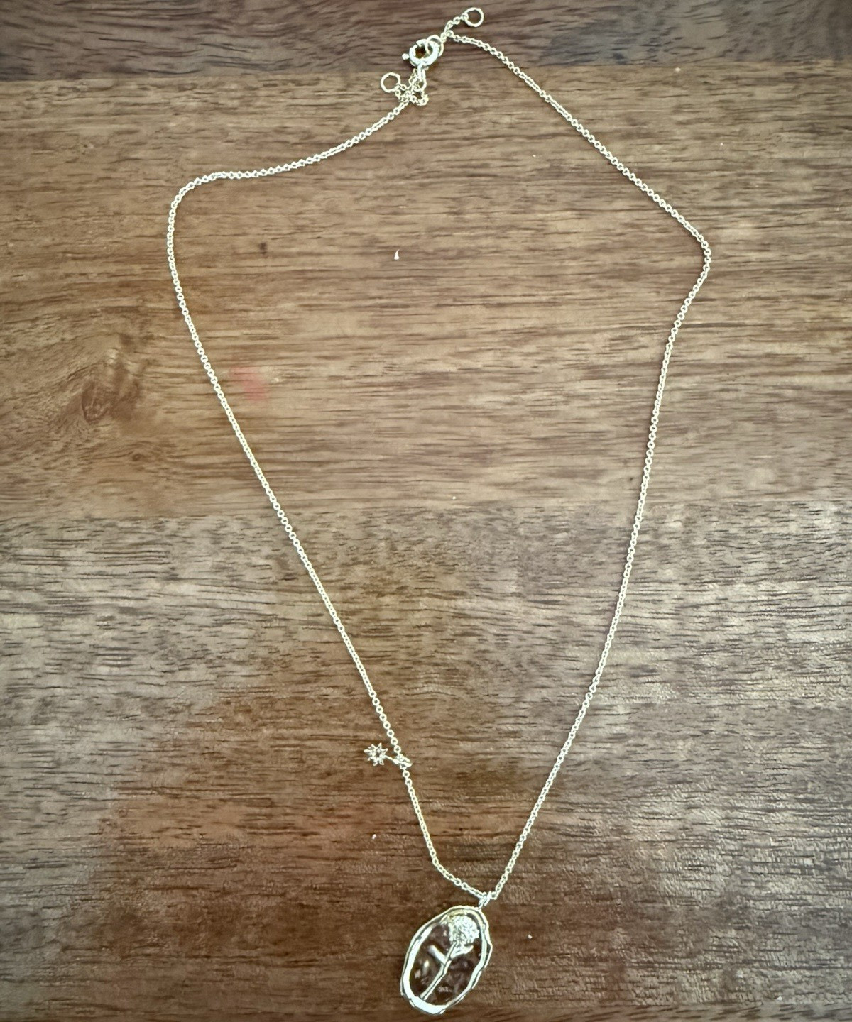 Birth Flower Pendant Necklace- January- Carnation