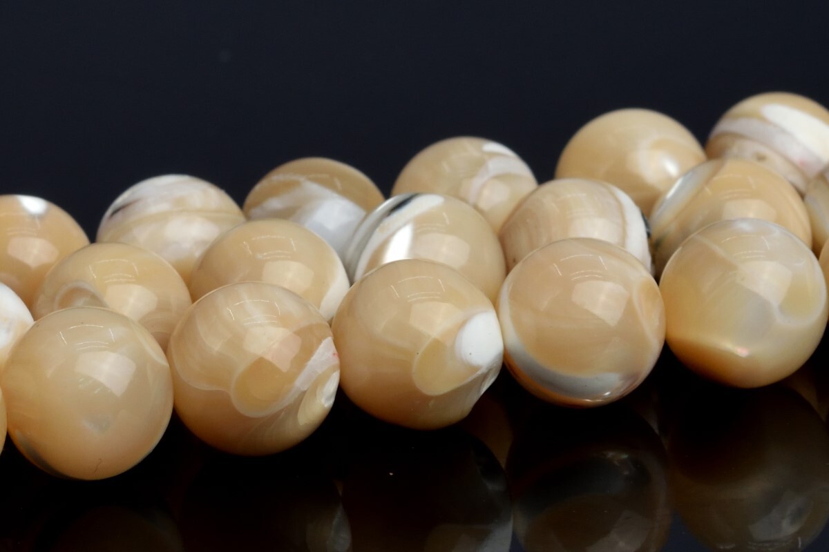 Genuine Natural Beige Trochidae Shell Beads AAA Round Loose Beads 8/9/10/12MM