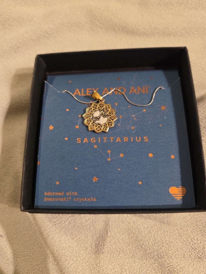 Beloved+Zodiac Necklace Sagittarius 14K Gold Dipped November22-December 22-New