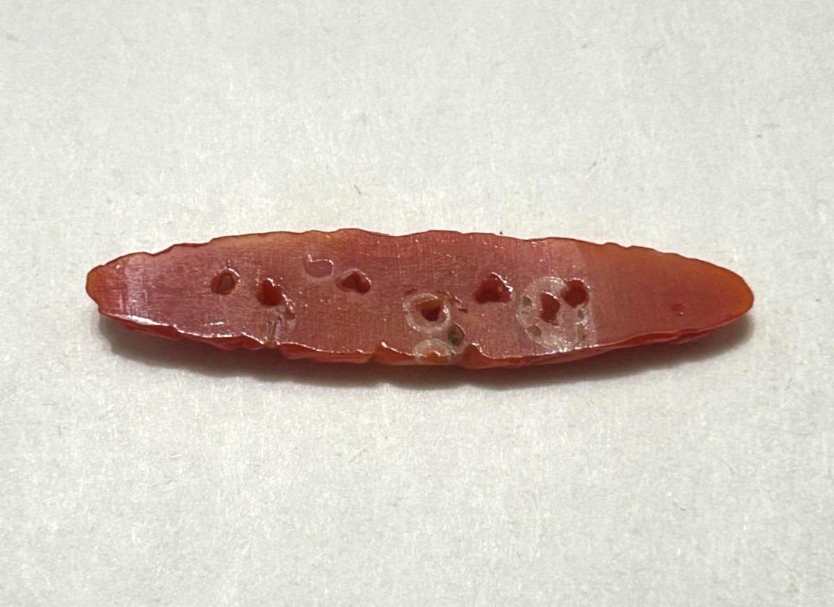 Natural Hand Carved Red Coral Openwork Floral Jewelry Finding 39.7mm Estate